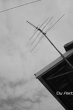 DPP_00013(630.jpg DPP_00013(630.jpg
