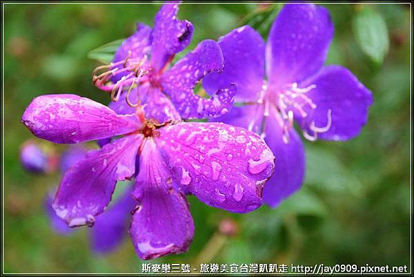 _DSC0619_01 _DSC0619_01