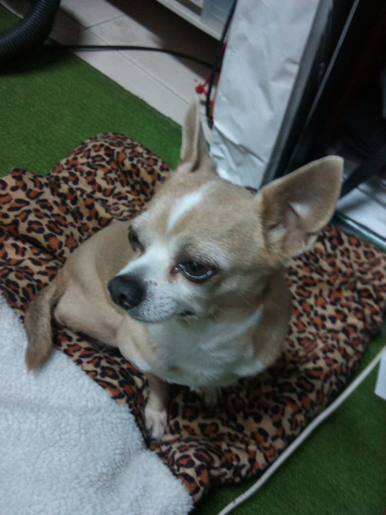 DSC01102.JPG DSC01102.JPG