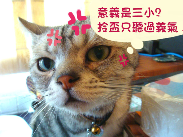 DSC01955.JPG DSC01955.JPG