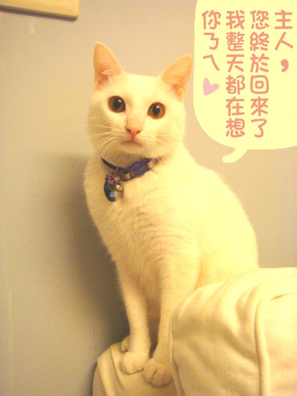 DSC01982.JPG DSC01982.JPG