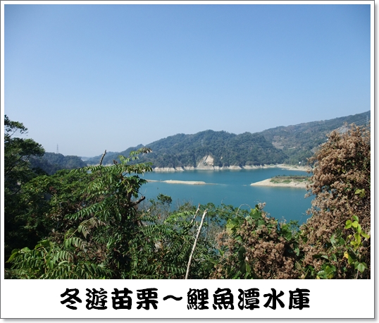 鯉魚潭水庫.jpg