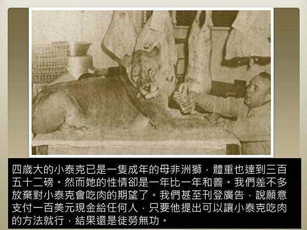 317267_272494602770845_100000309215103_898846_1259959256_n.jpg 317267_272494602770845_100000309215103_898846_1259959256_n.jpg