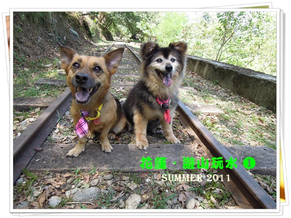 花蓮1.JPG 花蓮1.JPG