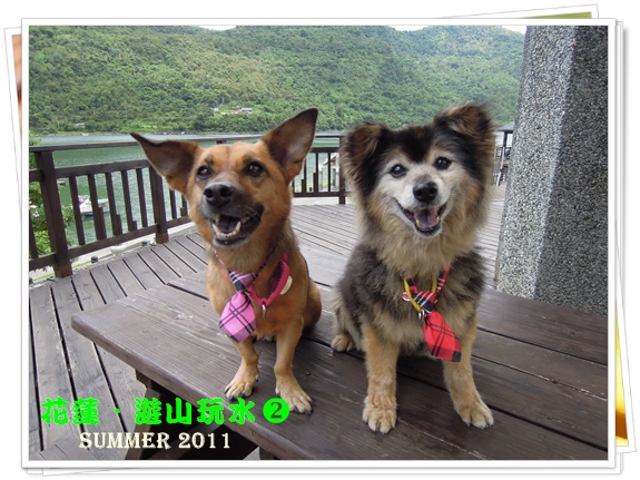 花蓮2.JPG 花蓮2.JPG