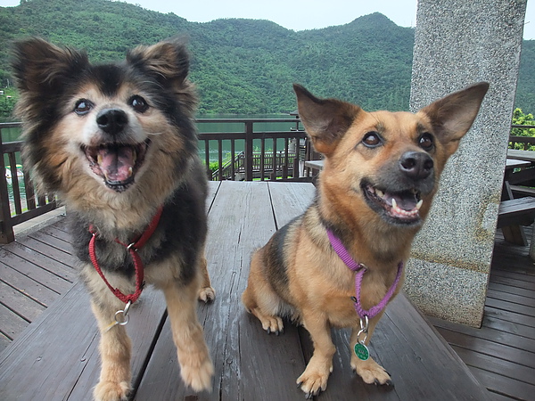 鯉魚潭 (32).jpg 鯉魚潭 (32).jpg