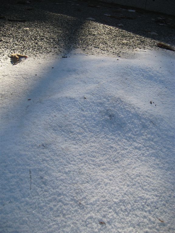 薄薄的細雪 薄薄的細雪