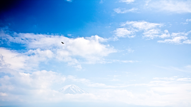 雯 & j 東京行-221 雯 & j 東京行-221