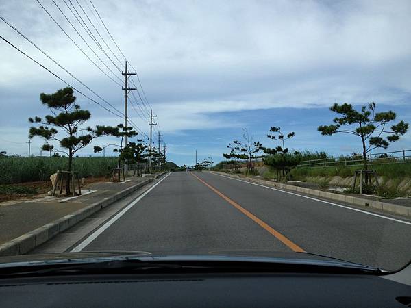 IMG_5391.JPG IMG_5391.JPG