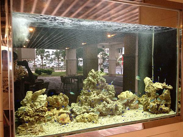 IMG_5398.JPG IMG_5398.JPG