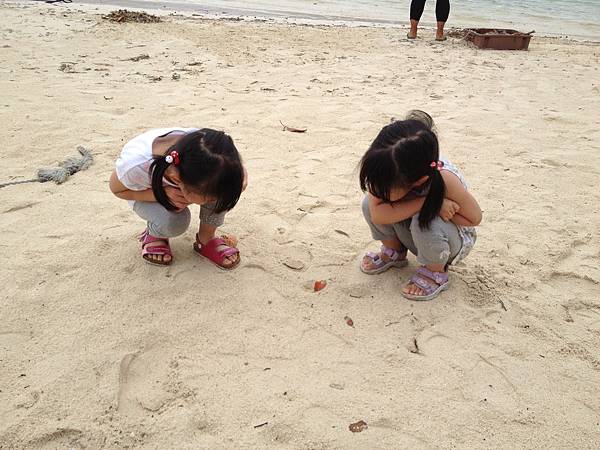 IMG_5440.JPG IMG_5440.JPG