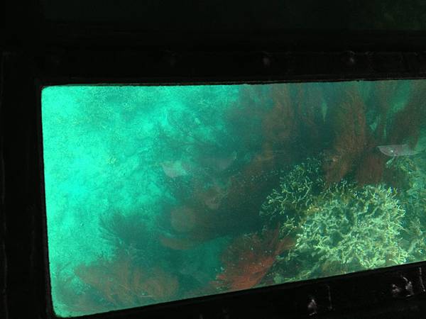 IMG_5450.JPG IMG_5450.JPG