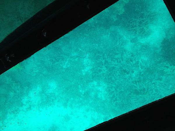 IMG_5453.JPG IMG_5453.JPG