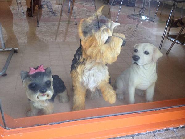 IMG_5465.JPG IMG_5465.JPG