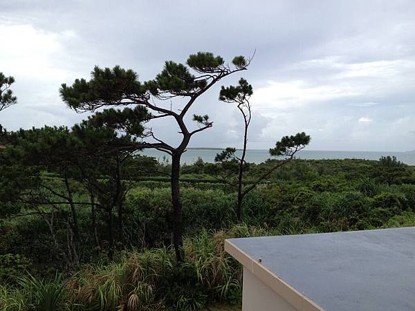 IMG_5478.JPG IMG_5478.JPG