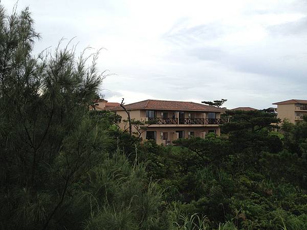 IMG_5480.JPG IMG_5480.JPG