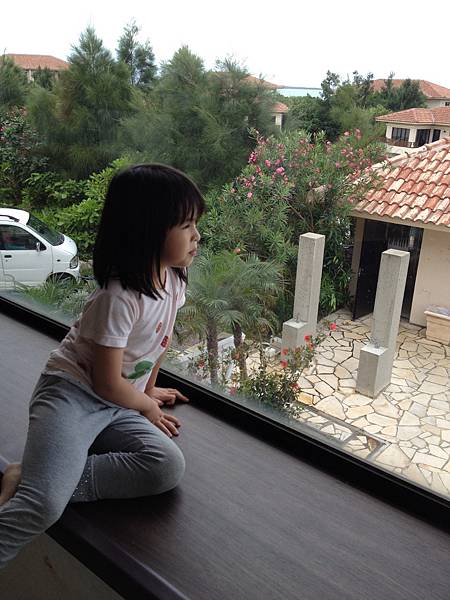 IMG_5526.JPG IMG_5526.JPG