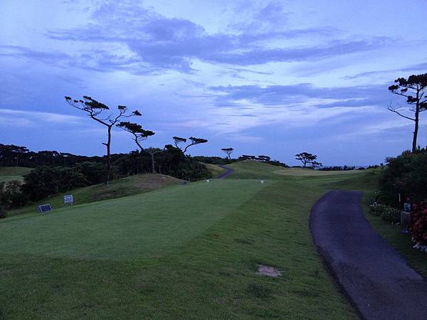 IMG_5552.JPG IMG_5552.JPG