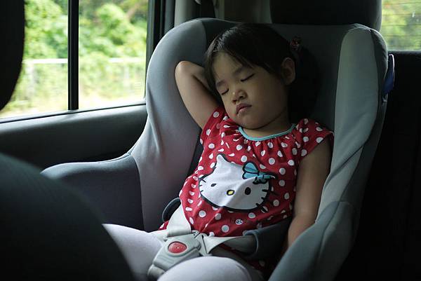 P1070453.JPG P1070453.JPG