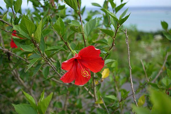 P1070456.JPG P1070456.JPG