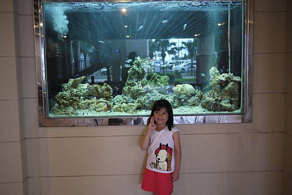 P1070462.JPG P1070462.JPG