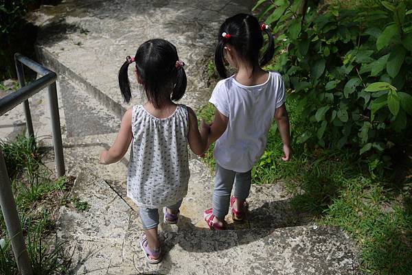 P1070495.JPG P1070495.JPG