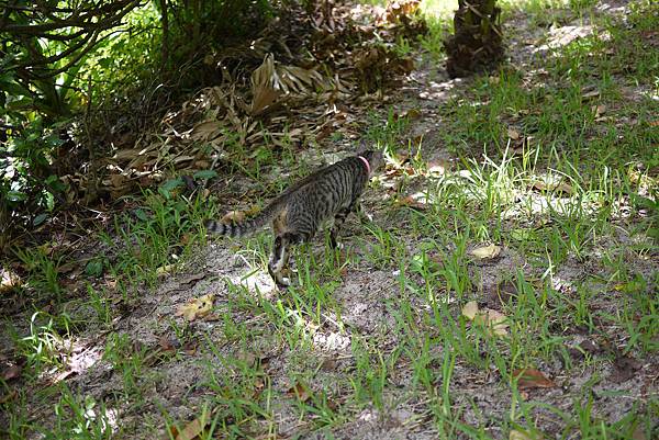 P1070496.JPG P1070496.JPG