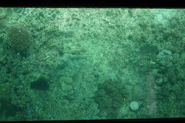 P1070505.JPG P1070505.JPG