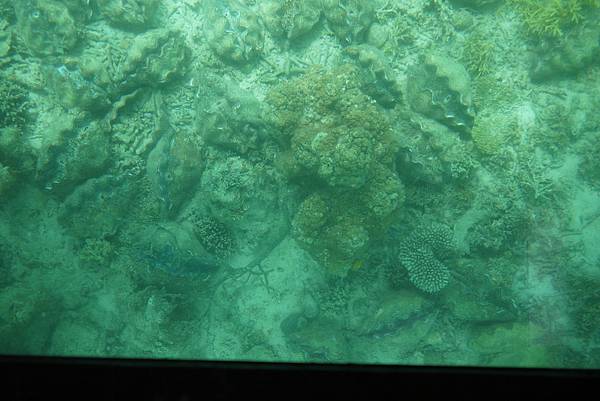 P1070507.JPG P1070507.JPG