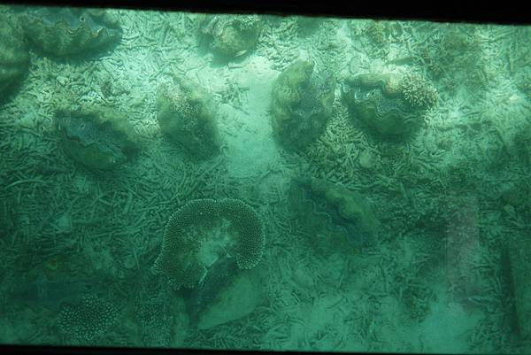 P1070509.JPG P1070509.JPG