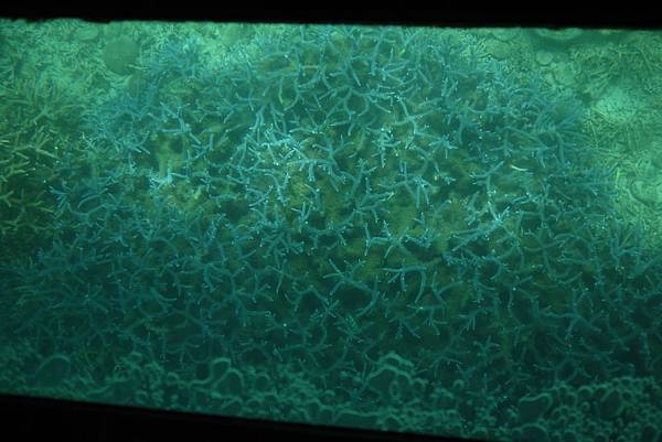 P1070510.JPG P1070510.JPG