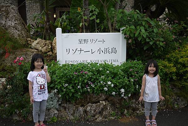 P1070549.JPG P1070549.JPG