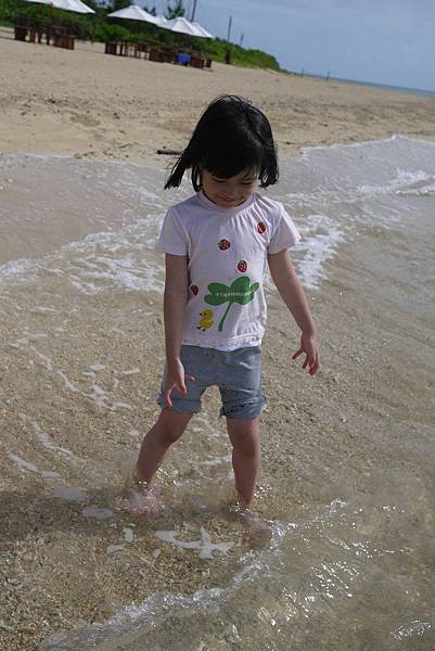 P1070571.JPG P1070571.JPG