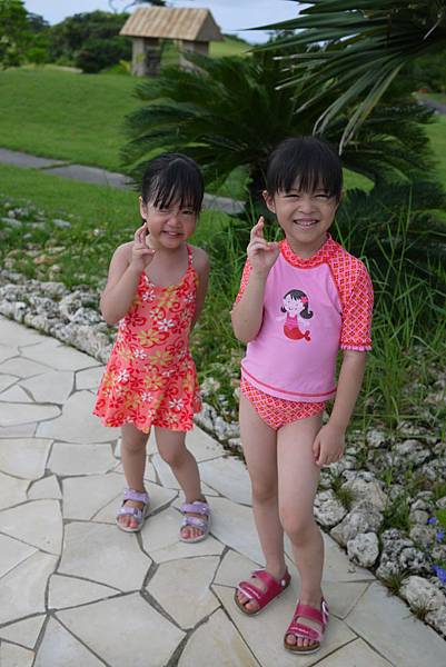 P1070593.JPG P1070593.JPG