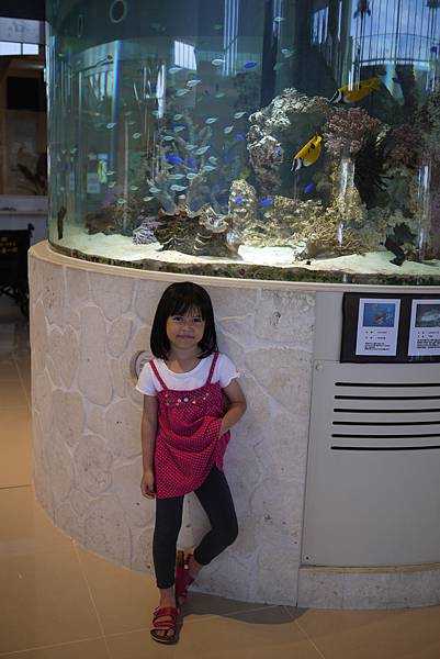 P1070649.JPG P1070649.JPG