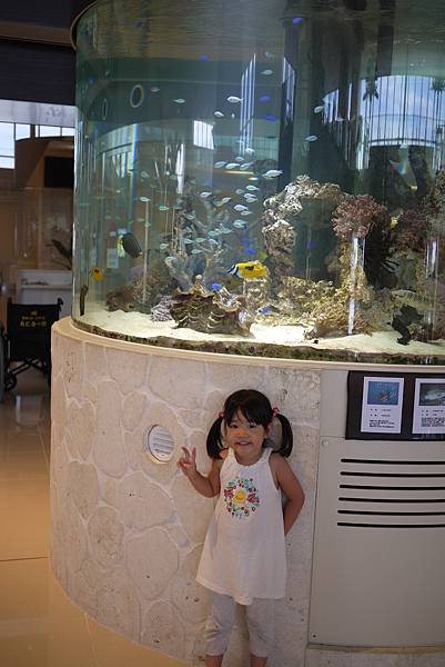 P1070650.JPG P1070650.JPG