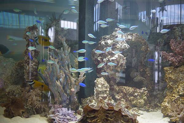 P1070651.JPG P1070651.JPG