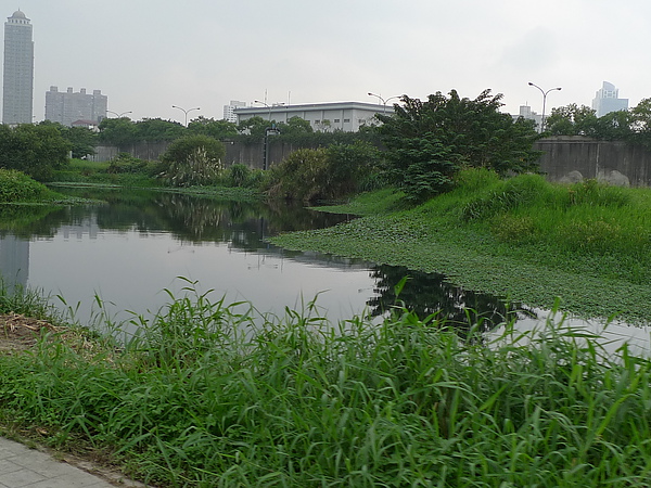 P1030937.JPG P1030937.JPG