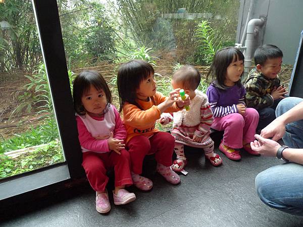 P1060484.JPG P1060484.JPG