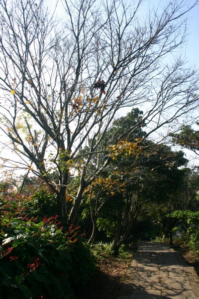 IMG_1986.JPG IMG_1986.JPG