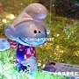 張棟樑 張棟樑