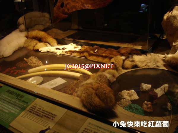 奢侈品 奢侈品