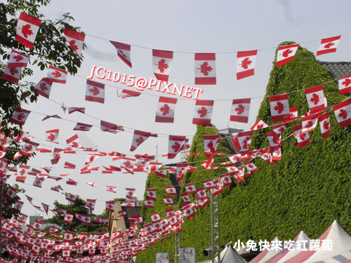 DSC00007 DSC00007