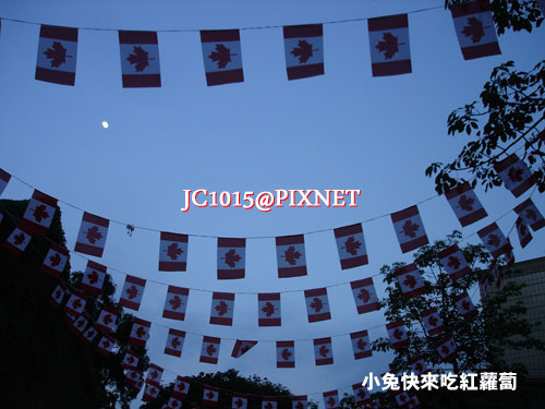 DSC00179 DSC00179