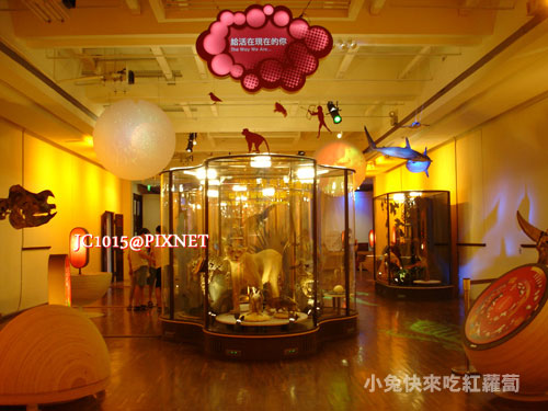 DSC06729 DSC06729