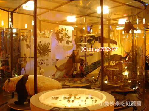 DSC06777 DSC06777