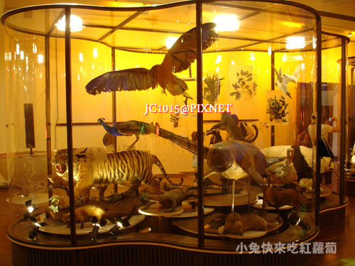DSC06794 DSC06794