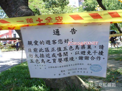 DSC07597 DSC07597