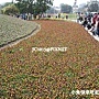 地景花海 地景花海