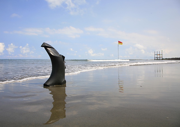 ㄧ支獨秀B ㄧ支獨秀B